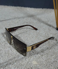 Versace Rich-Looking Trendy Sunglasses